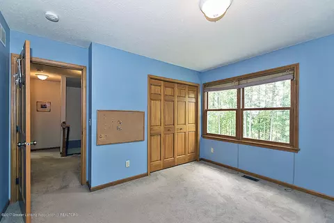 6667 W Pratt Rd, Dewitt, MI 48820 photo 13