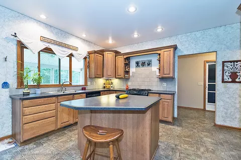 6667 W Pratt Rd, Dewitt, MI 48820 photo 18