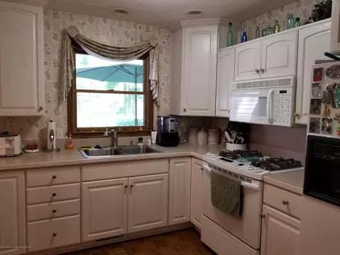 4225 Driftwood Dr, Dewitt, MI 48820 photo 3