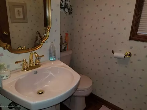 4225 Driftwood Dr, Dewitt, MI 48820 photo 17