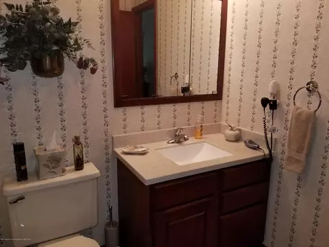 4225 Driftwood Dr, Dewitt, MI 48820 photo 12