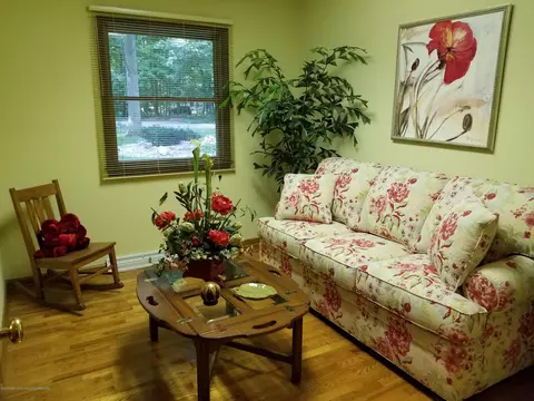 4225 Driftwood Dr, Dewitt, MI 48820 photo 10
