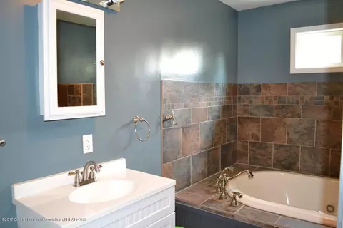 405 N Bridge St, Dewitt, MI 48820 photo 13