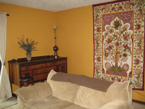 1824 Nemoke Trl, Haslett, MI 48840 photo 9