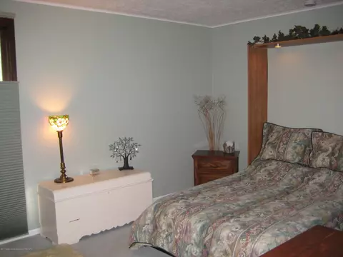 1824 Nemoke Trl, Haslett, MI 48840 photo 27