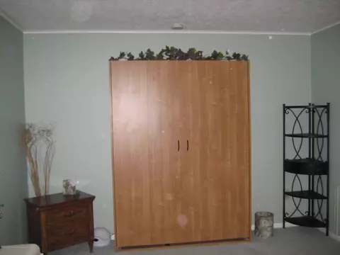 1824 Nemoke Trl, Haslett, MI 48840 photo 25