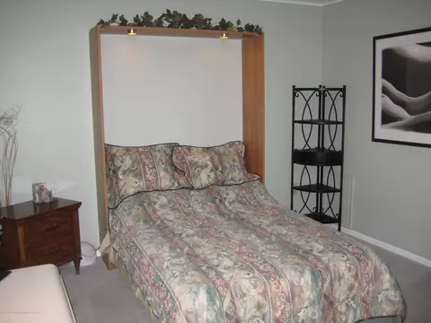 1824 Nemoke Trl, Haslett, MI 48840 photo 26