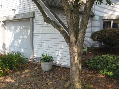 1824 Nemoke Trl, Haslett, MI 48840 photo 20