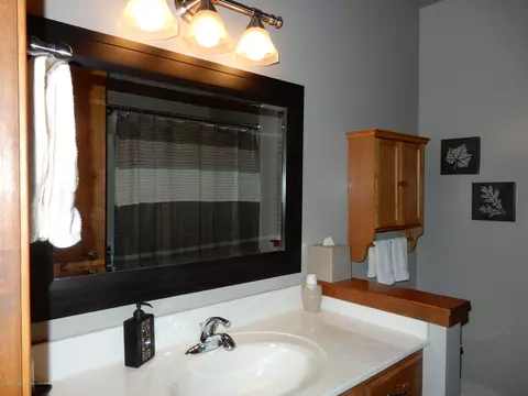 320 Winding River Dr, Williamston, MI 48895 photo 14