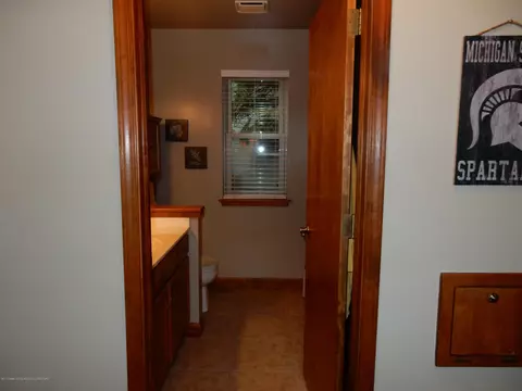 320 Winding River Dr, Williamston, MI 48895 photo 9