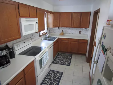 236 E Hamlin St, Eaton Rapids, MI 48827 photo 14