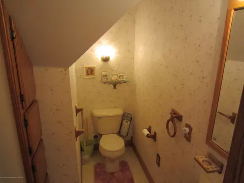 236 E Hamlin St, Eaton Rapids, MI 48827 photo 19