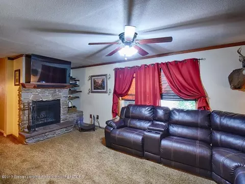 337 E Washington St, Dimondale, MI 48821 photo 6