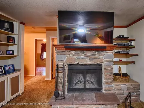 337 E Washington St, Dimondale, MI 48821 photo 8