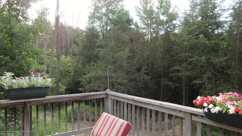 12929 S Tallman Rd, Eagle, MI 48822 photo 32