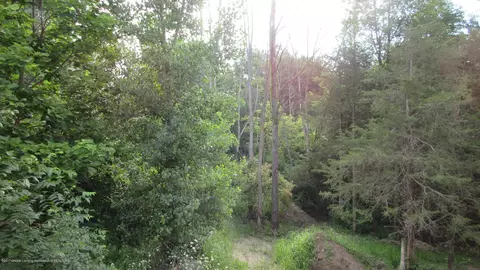 12929 S Tallman Rd, Eagle, MI 48822 photo 35
