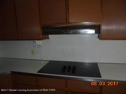 1151 Ralph St, Lansing, MI 48906 photo 25