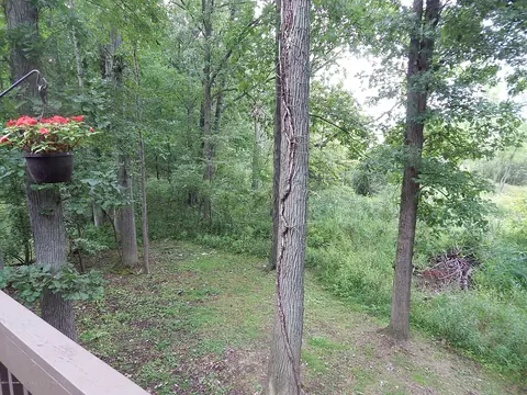 1099 Woodwind Trl, Haslett, MI 48840 photo 35