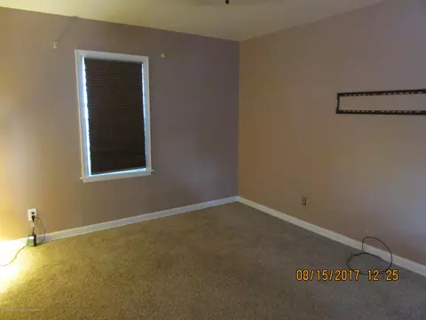 219 E Miller, Lansing, MI 48911 photo 4