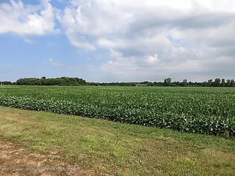 7887 E M-21, Ovid, MI 48866 photo 4