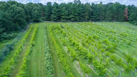 8550 Braden Rd, Haslett, MI 48840 photo 9