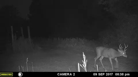 8550 Braden Rd, Haslett, MI 48840 photo 35