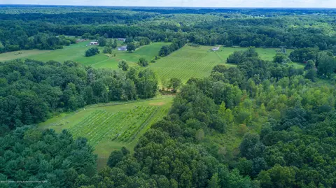 8550 Braden Rd, Haslett, MI 48840 photo 8