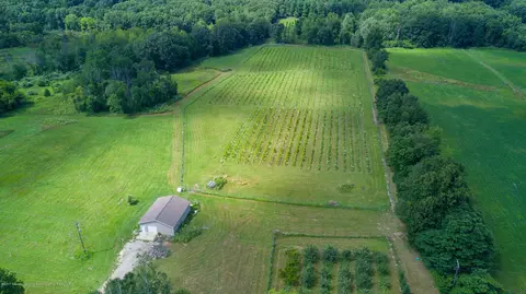 8550 Braden Rd, Haslett, MI 48840 photo 4