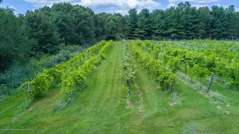 8550 Braden Rd, Haslett, MI 48840 photo 10