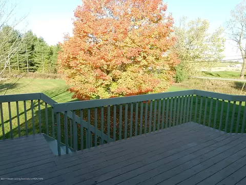 32 Quail Run, Dewitt, MI 48820 photo 37