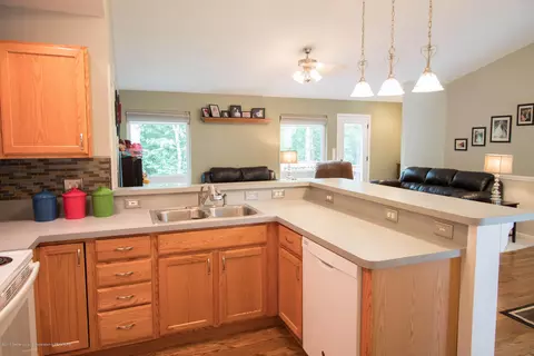 480 Fox Run Ct, Williamston, MI 48895 photo 12
