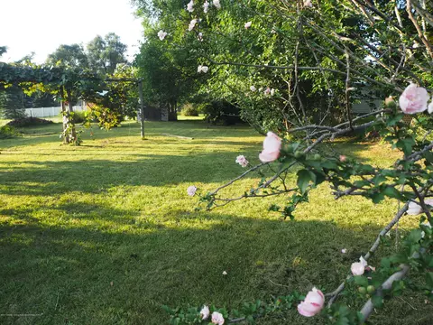 620 Williams St, Williamston, MI 48895 photo 24