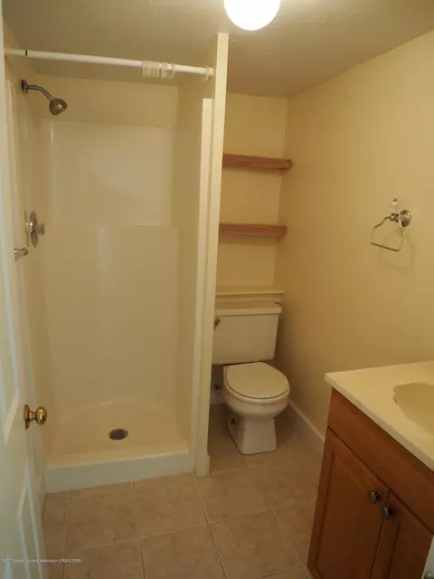 620 Williams St, Williamston, MI 48895 photo 15