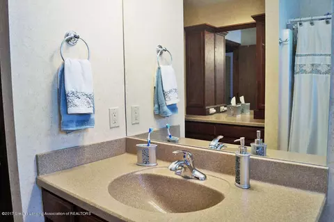 416 Corral Path, Lansing, MI 48917 photo 15