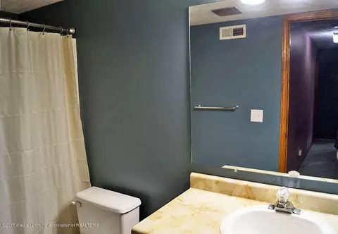 416 Corral Path, Lansing, MI 48917 photo 26
