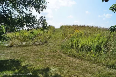408 Snapdragon Ln, Dewitt, MI 48820 photo 32