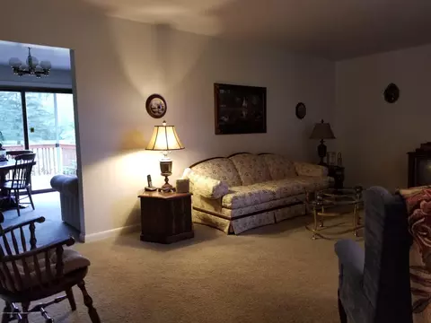 8810 W Howe Rd, Eagle, MI 48822 photo 5