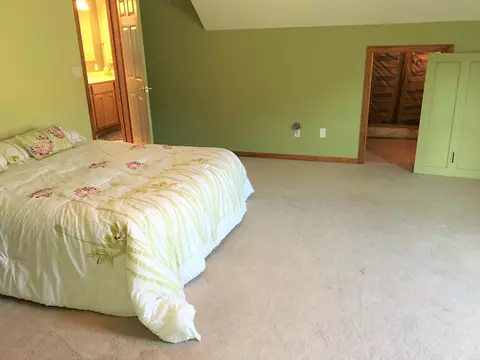 1667 N Eifert Rd, Holt, MI 48842 photo 23