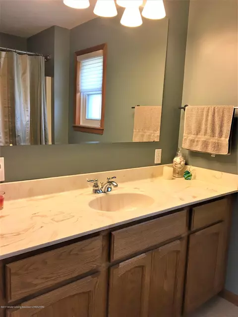 1667 N Eifert Rd, Holt, MI 48842 photo 26