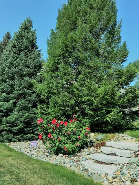 1667 N Eifert Rd, Holt, MI 48842 photo 50