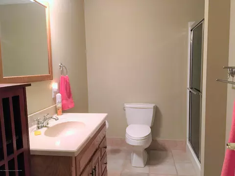 1667 N Eifert Rd, Holt, MI 48842 photo 34