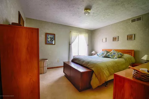 417 Manchester, Dewitt, MI 48820 photo 12