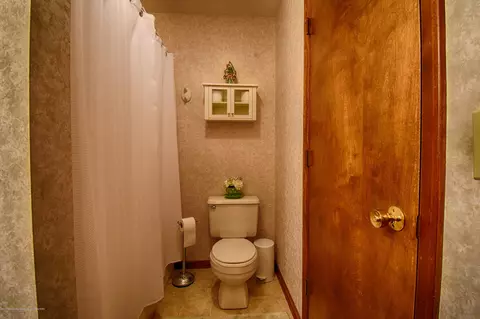 417 Manchester, Dewitt, MI 48820 photo 11