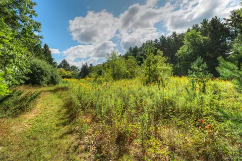 13285 Warner Rd, Perry, MI 48872 photo 15