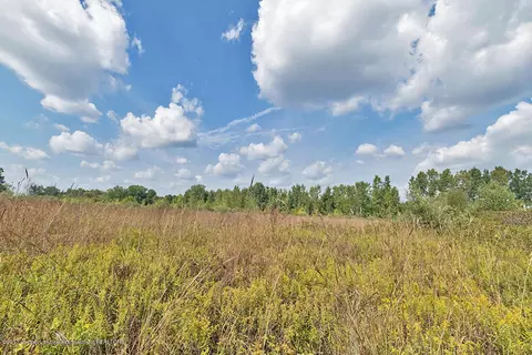 3290 E Grand River Rd, Williamston, MI 48895 photo 31