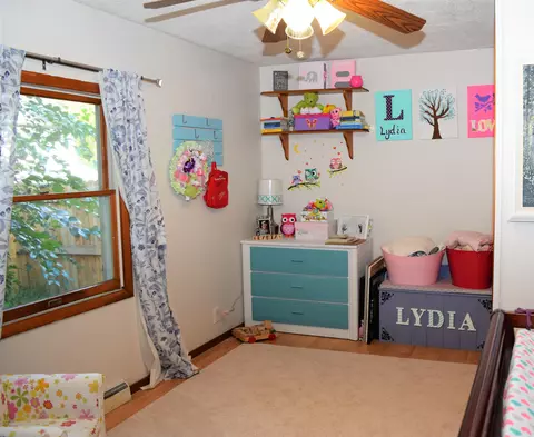 13544 Webster Rd, Bath, MI 48808 photo 33