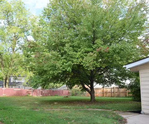 13544 Webster Rd, Bath, MI 48808 photo 8