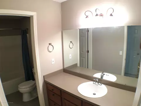 13160 Primrose, Dewitt, MI 48820 photo 32