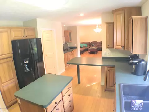13160 Primrose, Dewitt, MI 48820 photo 13