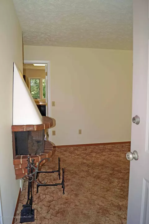 11733 Wood Rd, Dewitt, MI 48820 photo 3
